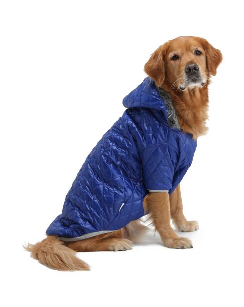 Bluecoat 7XL blauwe hondenhoodie