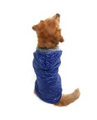 Bluecoat 7XL blauwe hondenhoodie