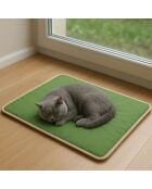 Thermo Mat groen huisdierbed - 60x80x3 cm