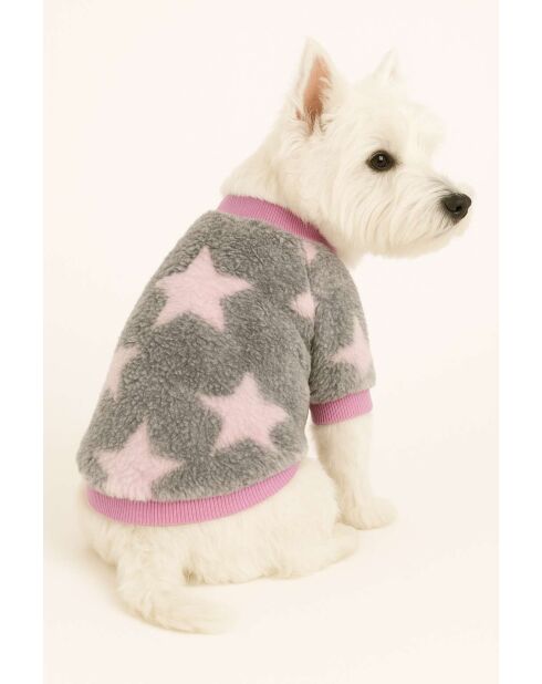Pinkstarsweat S grijze hondenhoodie