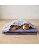 Pure Comfort Hundebett blau - 90x110x11 cm