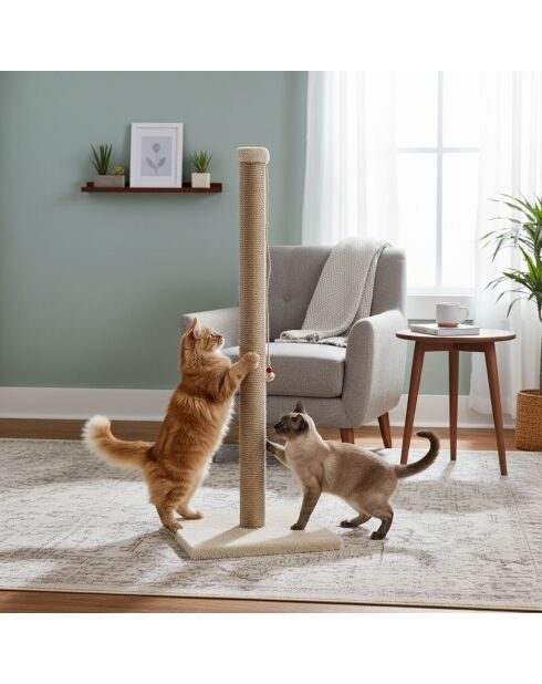 Aerobeiger Katzenkratzer, 37,5 x 37,5 x 102 cm