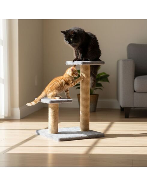 Albero per gatti Luzi grigio - 35x28x44 cm