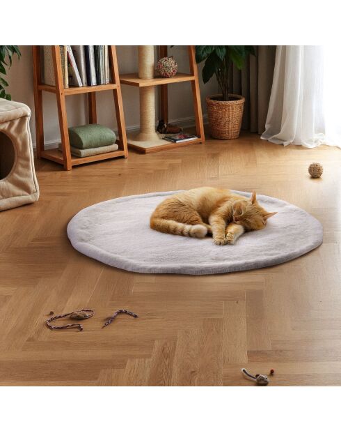 Coperta bianca per gatti - 50x50 cm