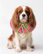 Elizabeth M roze donutketting voor huisdieren