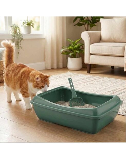 Bac à litière pour chat 5091-4 verte - 52x66x17,5 cm