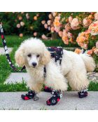 L/XL zwarte hondenschoenen