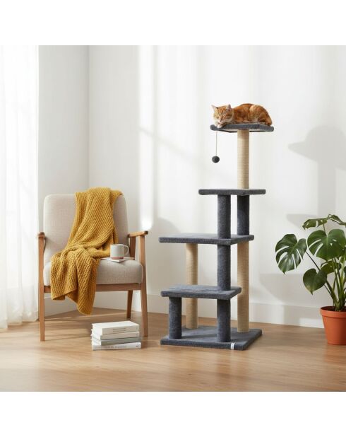 Árbol para gatos Alessi antracita - 45x45x117 cm