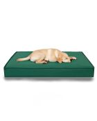 Cuccia per animali domestici Eva Garden Dog L verde - 75x55x9 cm