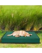 Cuccia per animali domestici Eva Garden Dog L verde - 75x55x9 cm