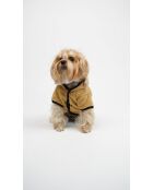 Sudadera con capucha para perros Teddy Welsoft Jacket S marrón claro
