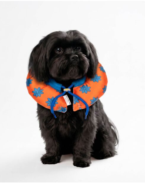Collar de rosquilla naranja con forma de mascota Elizabeth M