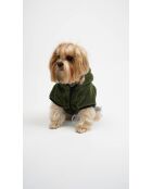 Sudadera con capucha Froggy Welsoft Jacket S verde para perros