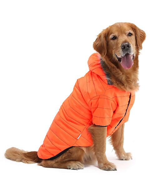Orangecoat 6XL oranje hondenhoodie