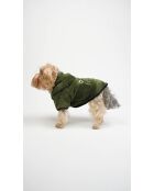 Froggy Welsoft Jacket L groene hondenhoodie