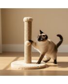 Griffoir pour chat Coris beige - 30x52 cm