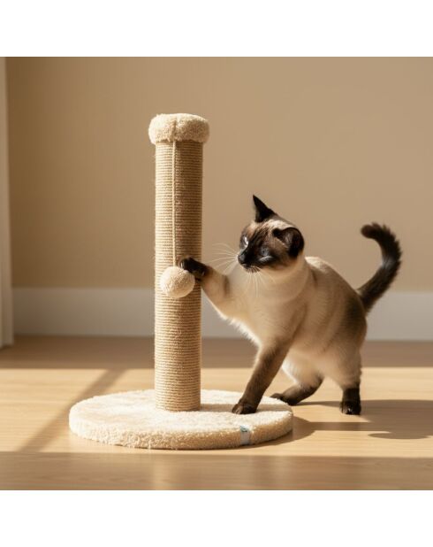 Griffoir pour chat Coris beige - 30x52 cm