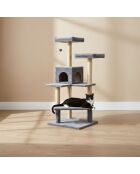 Maison pour chat Amazon anthracite - 45x60x130 cm