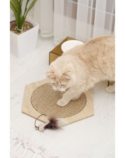 Altıgen 30 beige krabmat voor katten - 30x30x1 cm