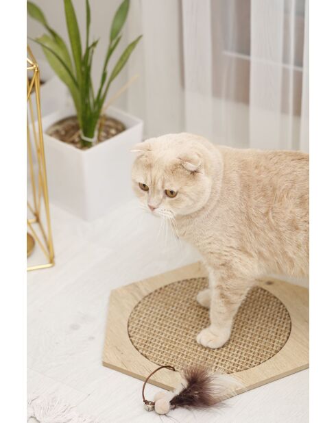 Altıgen 30 beige krabmat voor katten - 30x30x1 cm