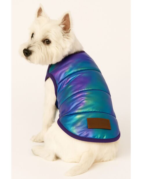 Metalen paarse jas L blauwe hondenhoodie
