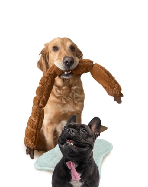 Jouet pour chien Havhav 1013 marron - D.65 cm
