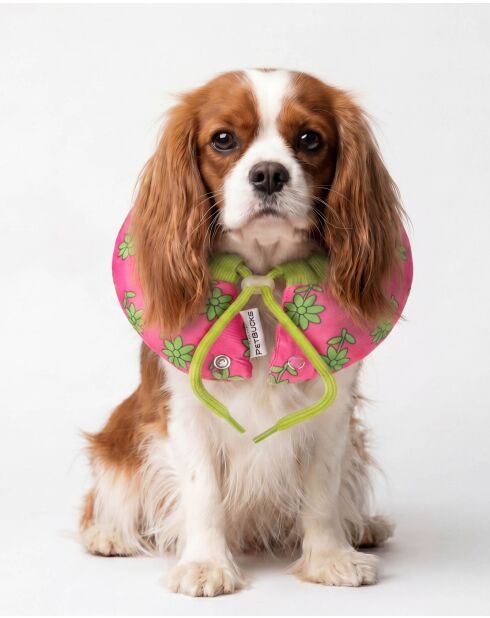 Elizabeth L roze donutketting voor huisdieren