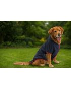 Donkerblauwe regenjas 8XL marineblauw met capuchon voor honden
