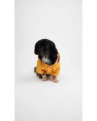 Manteau pour animaux Pawjoy XXL jaune