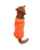 Orangecoat 8XL oranje hondenhoodie