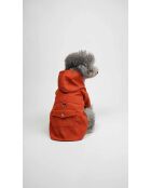 Pawjoy XXL oranje dierenjas
