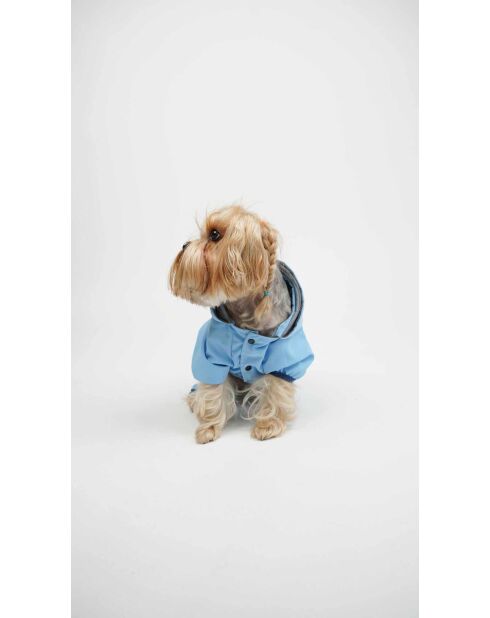 Imperméable pour chien Sihirli S bleu
