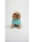 Angel Glow Coat L blauwe hondenhoodie