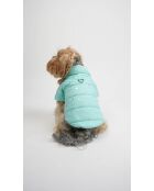 Angel Glow Coat L blauwe hondenhoodie