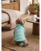 Angel Glow Coat L blauwe hondenhoodie