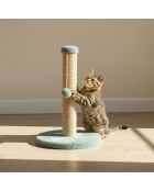 Tiragraffi per gatti Coris turchese - 30x52 cm