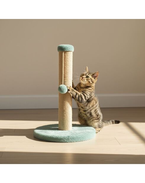 Tiragraffi per gatti Coris turchese - 30x52 cm