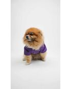 Pawjoy XXL paarse dierenjas