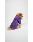 Pawjoy XXL paarse dierenjas