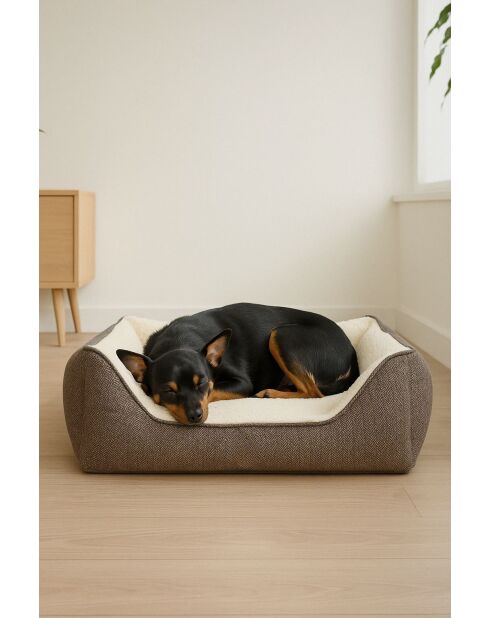 Cuccia per animali domestici Zeus M marrone - 55x75x20 cm