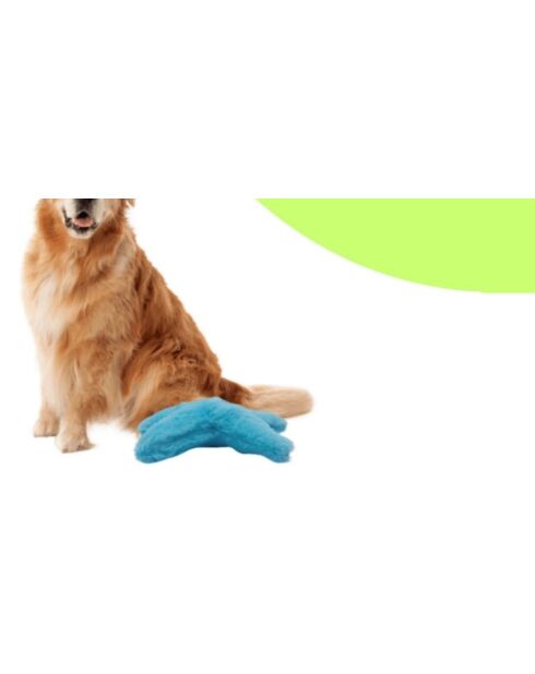 Giocattolo per cani Havhav 1018 blu - D.21 cm