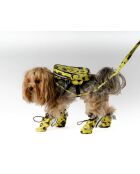 Chaussures pour chien S/M jaunes