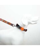 Spirit XS Hundehalsband mehrfarbig