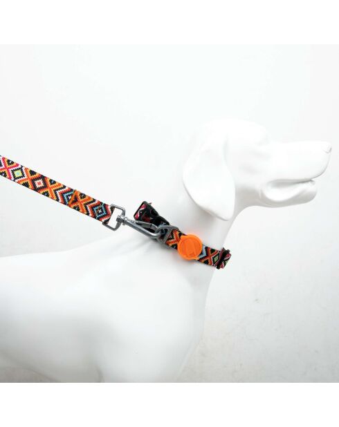 Spirit XS hondenhalsband veelkleurig