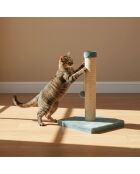 Griffoir pour chat Luca turquoise - 30x30x42 cm