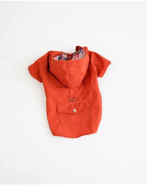 Pawjoy S oranje dierenjas
