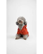 Pawjoy S oranje dierenjas