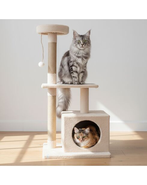 Casetta per gatti Liora beige - 50x35x106 cm
