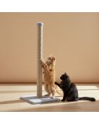 Tiragraffi Aero Cat grigio - 37,5x37,5x102 cm
