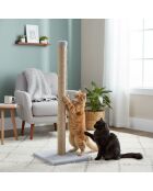 Tiragraffi Aero Cat grigio - 37,5x37,5x102 cm